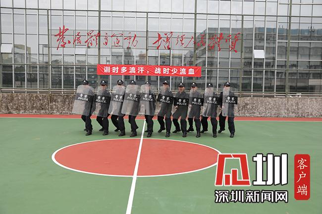硬核！南山区人民法院法警大队开展实战化训练