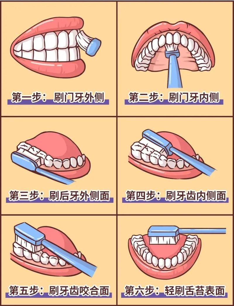 而改良巴氏刷牙法,则是医生们目前倡导的刷牙方法.
