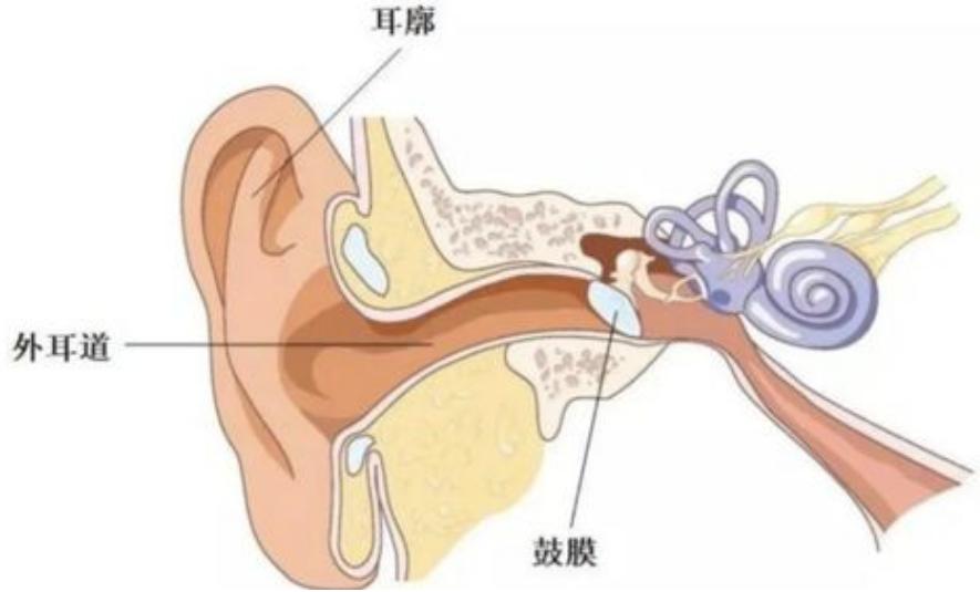 耳朵深处在掏耳的过程中同时棉絮可能会脱落在耳朵内用棉签掏耳朵当然