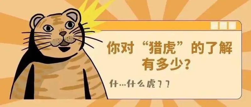 查酒驾为什么叫“猎虎”？你希望交警在哪查？速来留言