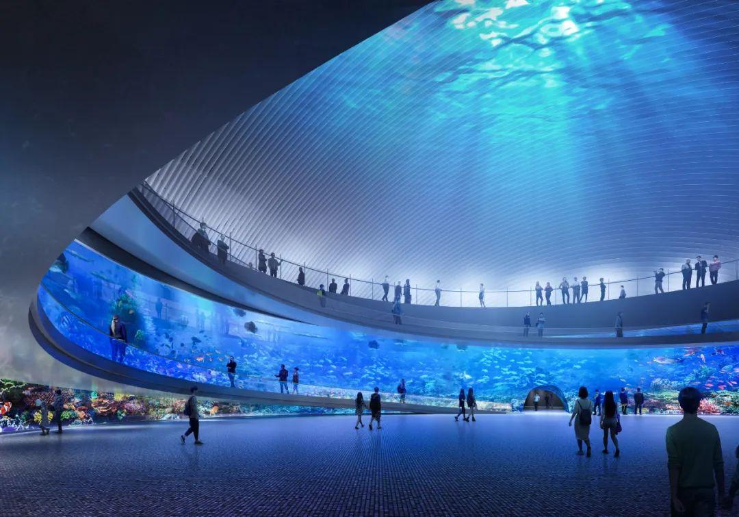 竞赛结果公布深圳海洋博物馆建筑方案设计国际竞赛结果揭晓