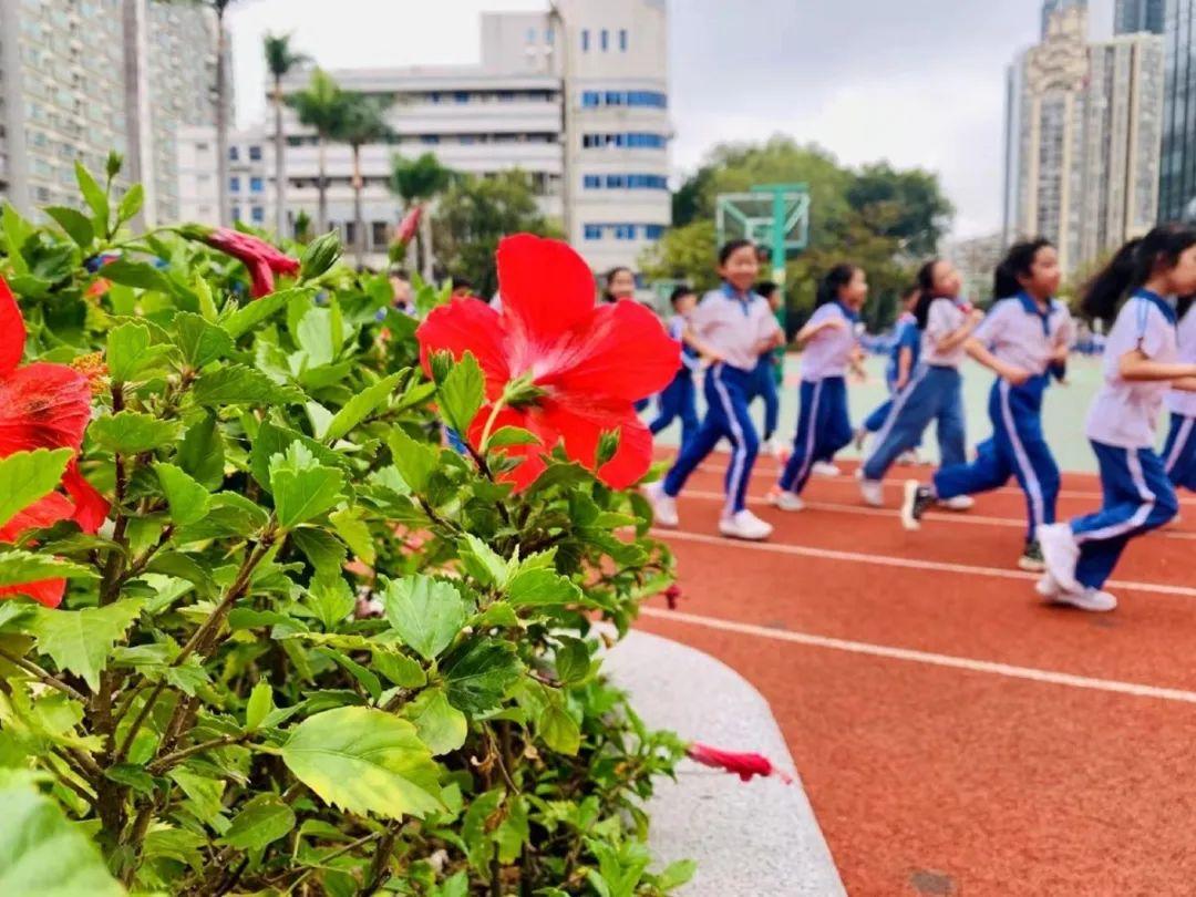 上沙小学校门图片