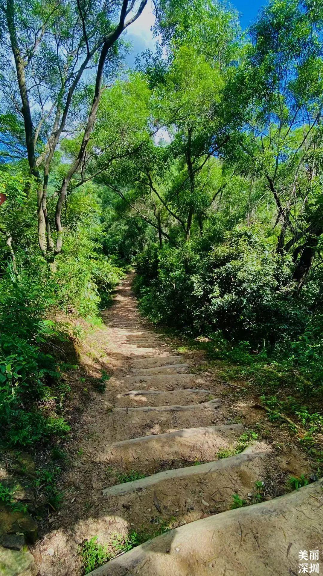 清新小道，趣味攻略：史上最贱游戏攻略-好玩手游排行榜及福利活动礼包下载平台_网游上线公测_攻略专题打造世界十大手游排行榜