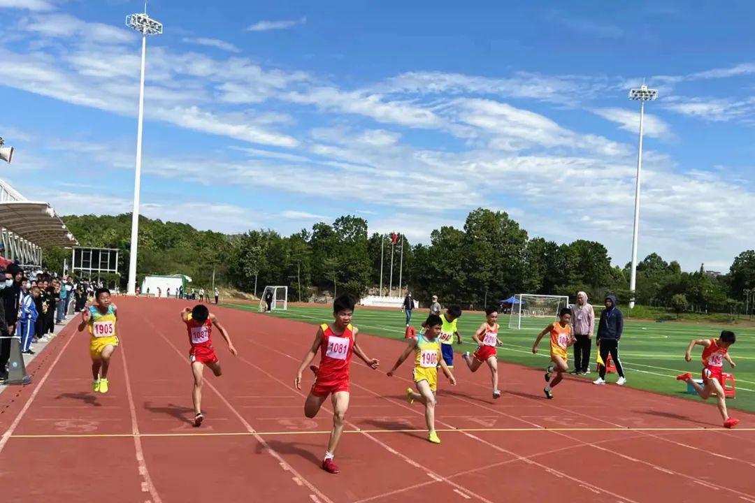 哪些学校表现更亮眼坪山区第十二届中小学生田径运动会圆满落幕