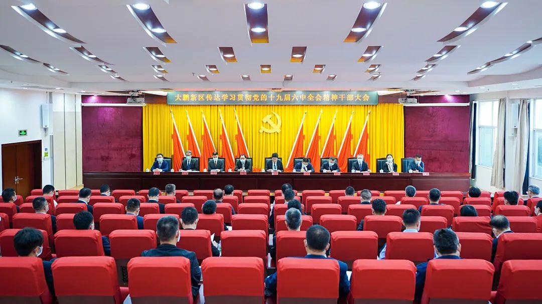 传达学习贯彻党的十九届六中全会精神和全省,全市会议精神,对做好学习