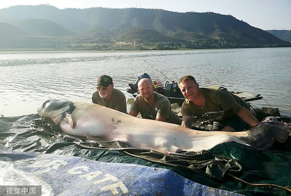 釣魚愛好者捕獲巨型鯰魚重達208斤與戰利品合影超興奮